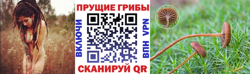 Псилоцибиновые грибы Magic Shrooms  Красноуфимск 